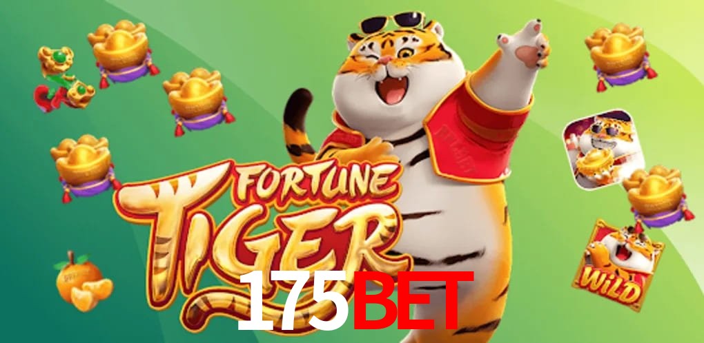 Experiência VIP 175bet