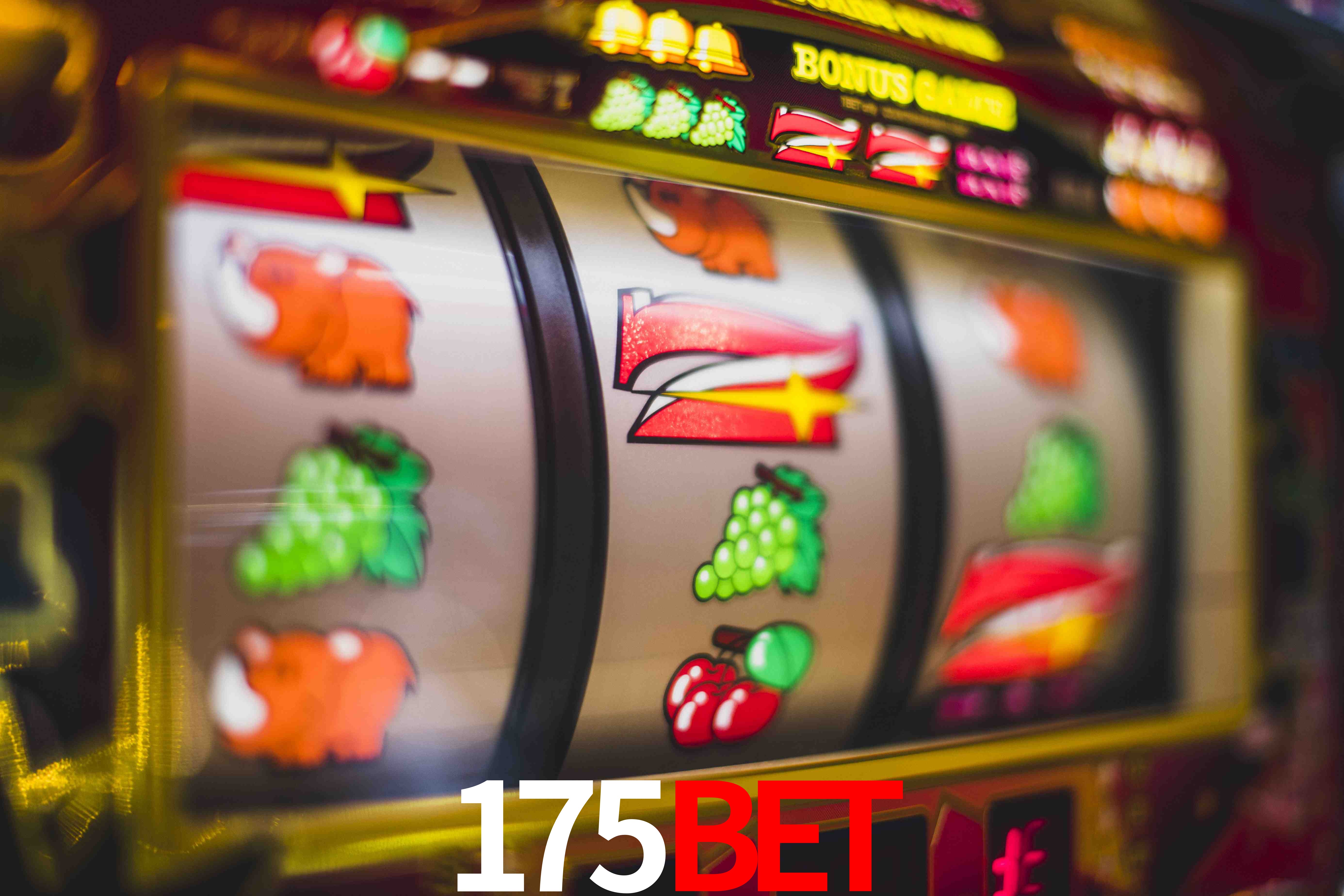 Football Betting 175bet